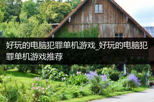 好玩的电脑犯罪单机游戏_好玩的电脑犯罪单机游戏推荐
