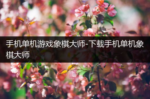 手机单机游戏象棋大师-下载手机单机象棋大师