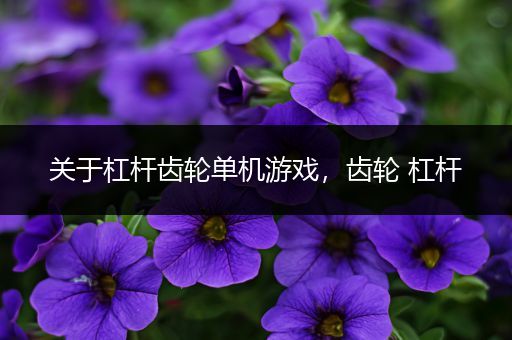 关于杠杆齿轮单机游戏，齿轮 杠杆