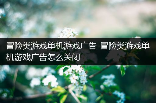 冒险类游戏单机游戏广告-冒险类游戏单机游戏广告怎么关闭