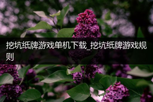 挖坑纸牌游戏单机下载_挖坑纸牌游戏规则