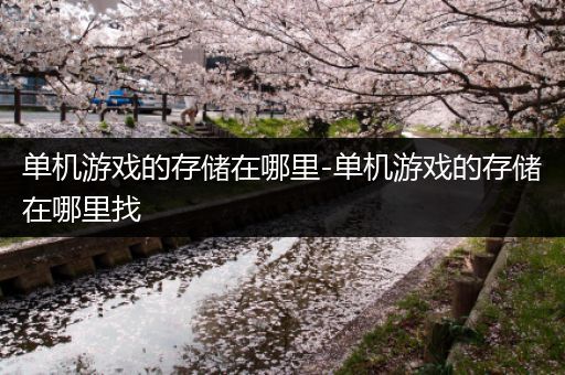 单机游戏的存储在哪里-单机游戏的存储在哪里找