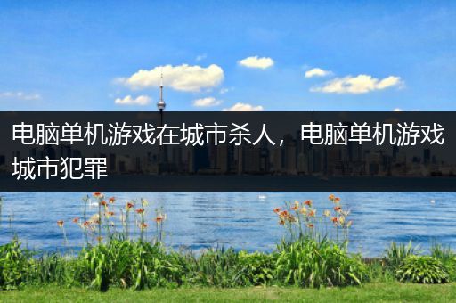电脑单机游戏在城市杀人，电脑单机游戏城市犯罪