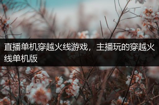 直播单机穿越火线游戏，主播玩的穿越火线单机版