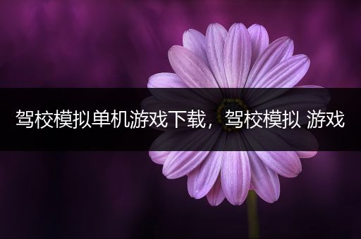 驾校模拟单机游戏下载，驾校模拟 游戏