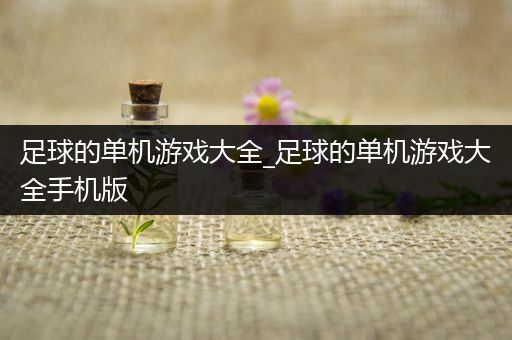 足球的单机游戏大全_足球的单机游戏大全手机版