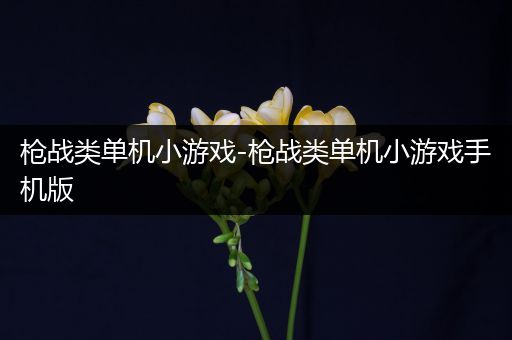 枪战类单机小游戏-枪战类单机小游戏手机版