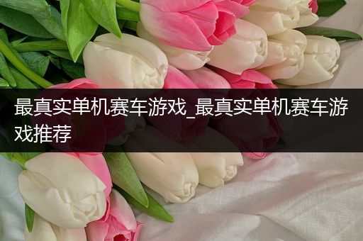 最真实单机赛车游戏_最真实单机赛车游戏推荐