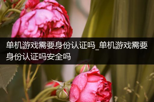 单机游戏需要身份认证吗_单机游戏需要身份认证吗安全吗
