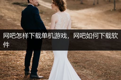 网吧怎样下载单机游戏，网吧如何下载软件