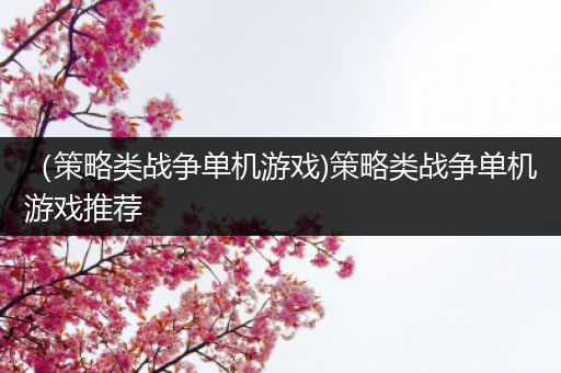 （策略类战争单机游戏)策略类战争单机游戏推荐