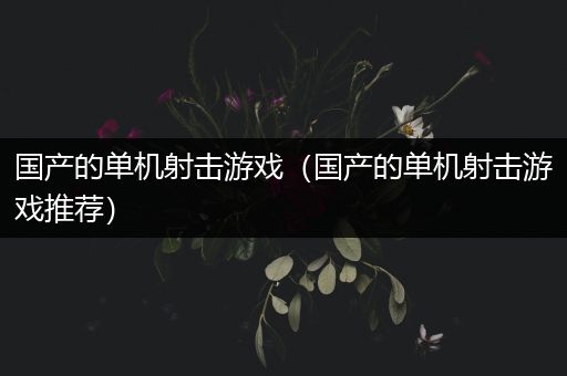 国产的单机射击游戏（国产的单机射击游戏推荐）
