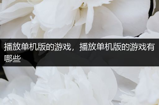 播放单机版的游戏，播放单机版的游戏有哪些