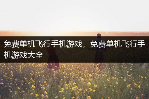 免费单机飞行手机游戏，免费单机飞行手机游戏大全