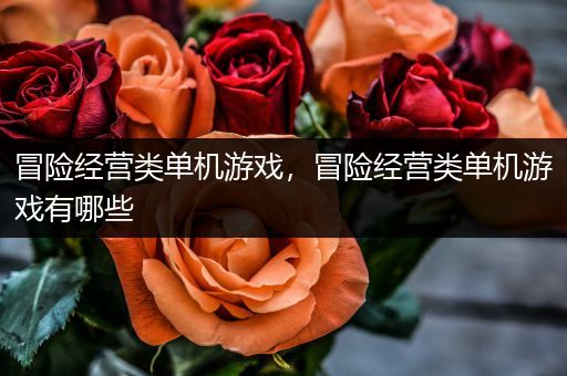 冒险经营类单机游戏，冒险经营类单机游戏有哪些