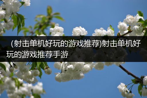 （射击单机好玩的游戏推荐)射击单机好玩的游戏推荐手游