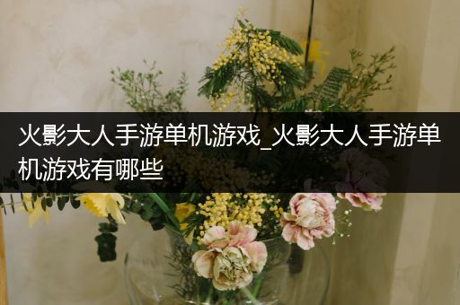 火影大人手游单机游戏_火影大人手游单机游戏有哪些