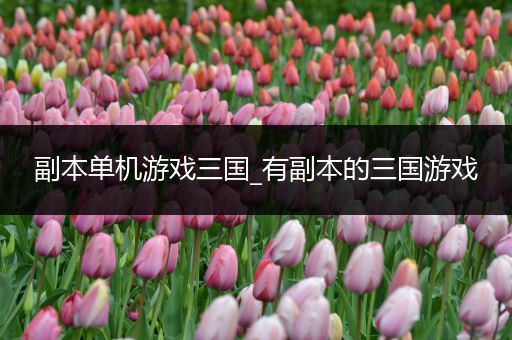 副本单机游戏三国_有副本的三国游戏