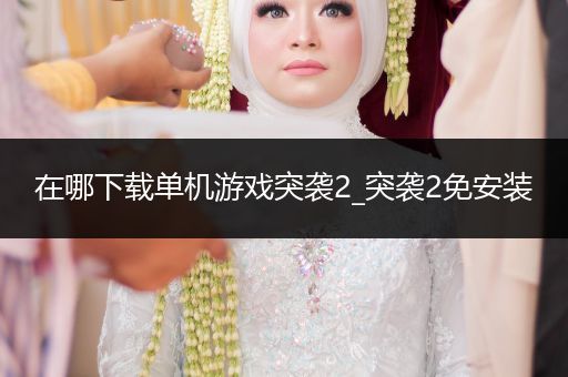 在哪下载单机游戏突袭2_突袭2免安装