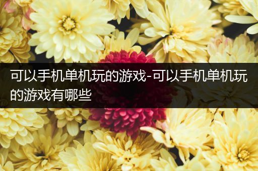 可以手机单机玩的游戏-可以手机单机玩的游戏有哪些