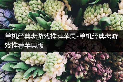 单机经典老游戏推荐苹果-单机经典老游戏推荐苹果版