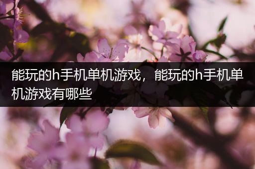 能玩的h手机单机游戏，能玩的h手机单机游戏有哪些