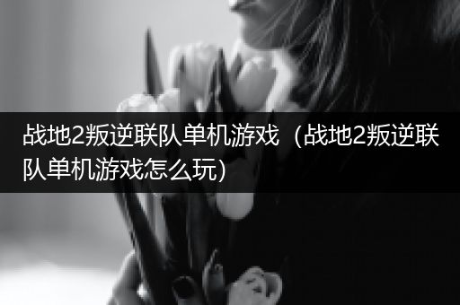 战地2叛逆联队单机游戏（战地2叛逆联队单机游戏怎么玩）