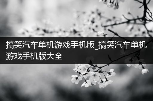 搞笑汽车单机游戏手机版_搞笑汽车单机游戏手机版大全