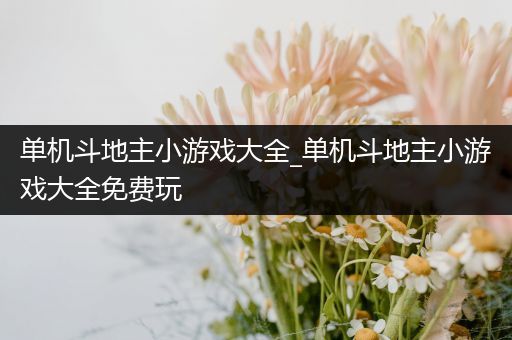 单机斗地主小游戏大全_单机斗地主小游戏大全免费玩
