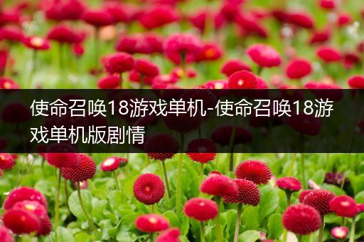使命召唤18游戏单机-使命召唤18游戏单机版剧情