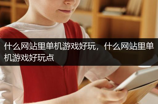 什么网站里单机游戏好玩，什么网站里单机游戏好玩点