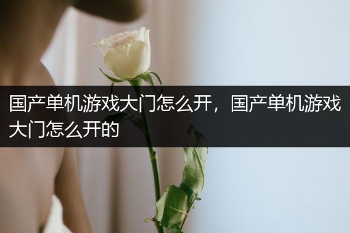 国产单机游戏大门怎么开，国产单机游戏大门怎么开的
