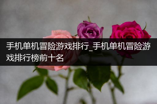 手机单机冒险游戏排行_手机单机冒险游戏排行榜前十名