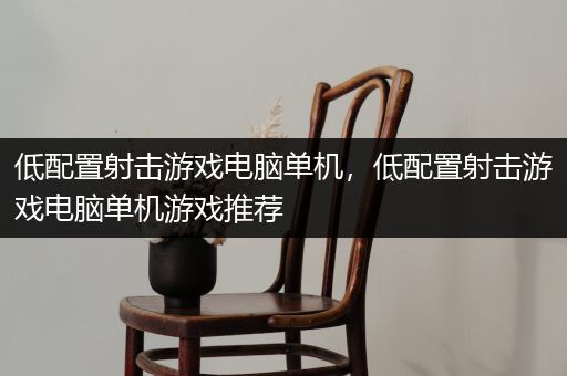 低配置射击游戏电脑单机，低配置射击游戏电脑单机游戏推荐