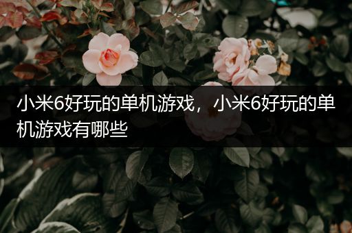 小米6好玩的单机游戏，小米6好玩的单机游戏有哪些