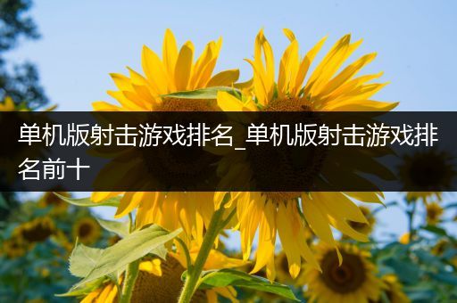 单机版射击游戏排名_单机版射击游戏排名前十