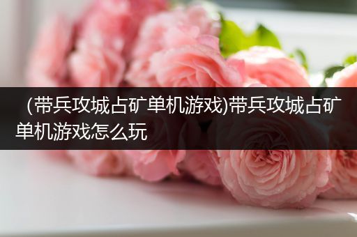 （带兵攻城占矿单机游戏)带兵攻城占矿单机游戏怎么玩