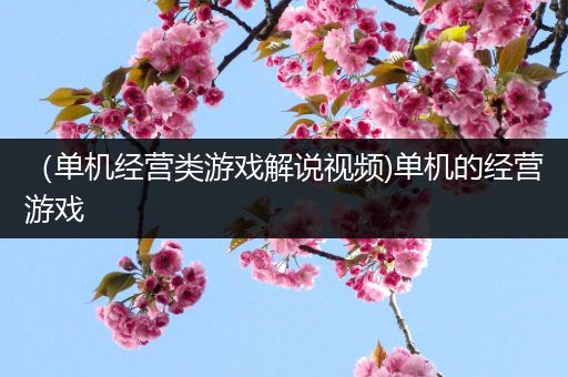 （单机经营类游戏解说视频)单机的经营游戏