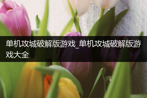 单机攻城破解版游戏_单机攻城破解版游戏大全