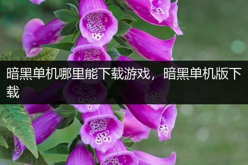 暗黑单机哪里能下载游戏，暗黑单机版下载