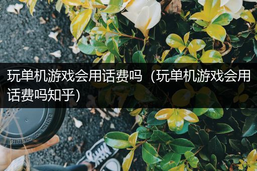 玩单机游戏会用话费吗（玩单机游戏会用话费吗知乎）