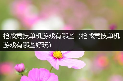 枪战竞技单机游戏有哪些（枪战竞技单机游戏有哪些好玩）