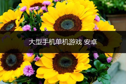 大型手机单机游戏 安卓