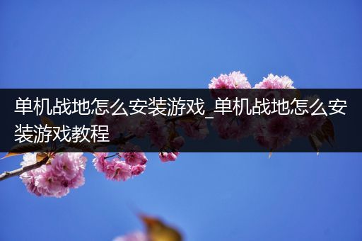 单机战地怎么安装游戏_单机战地怎么安装游戏教程