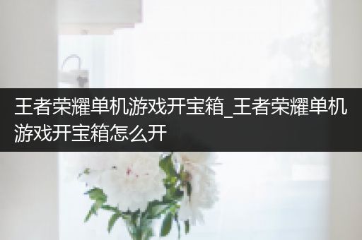王者荣耀单机游戏开宝箱_王者荣耀单机游戏开宝箱怎么开