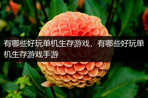 有哪些好玩单机生存游戏，有哪些好玩单机生存游戏手游