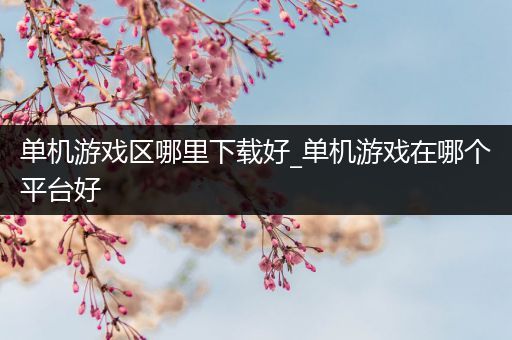 单机游戏区哪里下载好_单机游戏在哪个平台好
