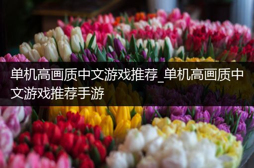 单机高画质中文游戏推荐_单机高画质中文游戏推荐手游
