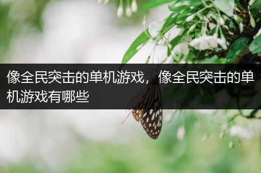 像全民突击的单机游戏，像全民突击的单机游戏有哪些