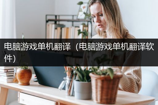 电脑游戏单机翻译（电脑游戏单机翻译软件）